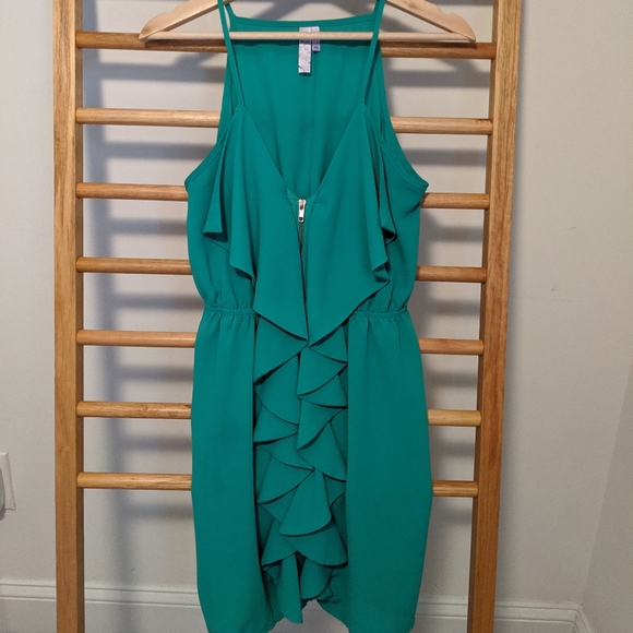 Francesca's Collections Dresses & Skirts - Francesca's Full Zip Ruffled Alya Dress